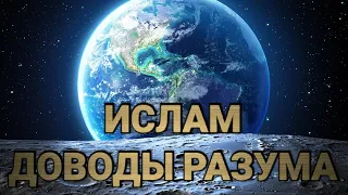 Ислам. Доводы Разума. 18. Кто видел разум!