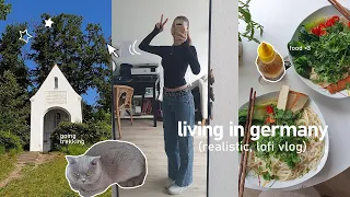 living alone with my cat in germany 🧸୨ৎ