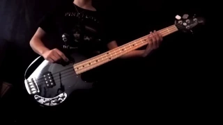 Pink Floyd - The Happiest Days of Our Lives / Another Brick In The Wall (Bass Cover)