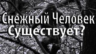 СНЕЖНЫЙ ЧЕЛОВЕК: Доказательства, Свидетельства, Опровержения, Мифы и Городские Легенды СТРИМ