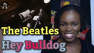 First Time Hearing The Beatles - Hey Bulldog