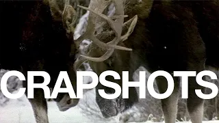 The Moose || Crapshots Ep715