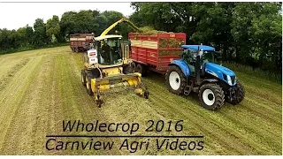 Kirkpatricks Mowing and Lifting Wholecrop/Silage 2016