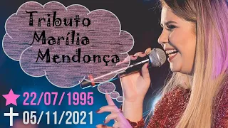 Flower and Hummingbird / Everyone will suffer (Tribute to Marilia Mendonça)
