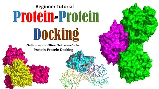 Protein - Protein Docking Beginner Tutorial