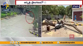 బొల్లారంలో దంపతులపై కూలిన చెట్టు | Man killed in Tree Fall | Cantonment Hospital | Bollaram