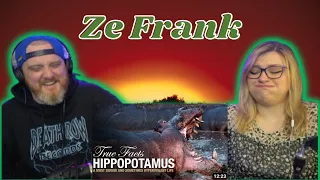 True Facts: Hippopotamus @zefrank | HatGuy & @gnarlynikki React