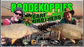 Roodekoppies Session