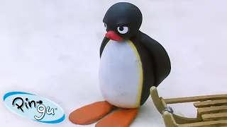 Pingu Causes Trouble 🐧 | Pingu - Official Channel | Cartoons For Kids