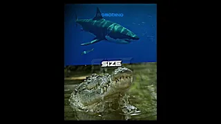 GREAT WHITE SHARK VS SALTWATER CROCODILE #shorts #fyp #edit #battle