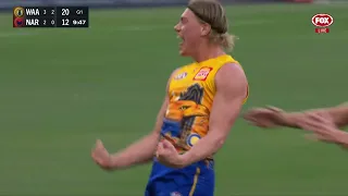 Harley Reid's jaw-dropping goal in his 9TH GAME 😮