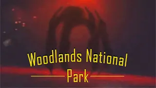 The Monsters in the Woods - Woodlands National Park Analog Horror