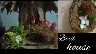 How to Make Bird House using cardbord //Jute Craft Idea//Best Out of Waste Idea// DIY Bird house.