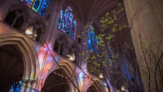 2.25.24 Washington National Cathedral Sunday Holy Eucharist – Worship Online