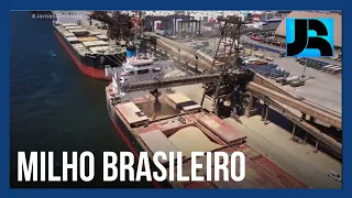 Brasil pode ultrapassar os Estados Unidos como o maior exportador de milho do planeta