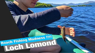 Beautiful small fish 🎣Loch Lomond Fishing | roach fishing | coarse fishing uk
