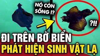 Bắt gặp sinh vật biển ĐÁNG SỢ, người phụ nữ đăng lên mạng nhận CÂU TRẢ LỜI BẤT NGỜ | Tin 3 Phút