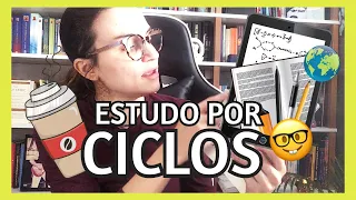 Organização dos estudos por ciclos 📚