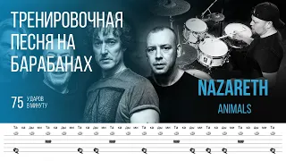 Nazareth - Animals / 75 bpm / Тренировочная песня для барабанов