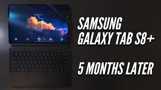 Samsung Galaxy Tab S8+: 5 Months Later (Maximum Value)