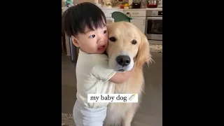 Cutest dogs video compilation  ever ♥️