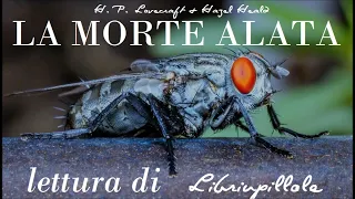 H.P. Lovecraft - La Morte Alata (Audiolibro Italiano Horror Completo Integrale)