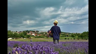 Szentmise Tihanyból 2022. július 3-án, az évközi idő XIV. vasárnapján, 10 órától