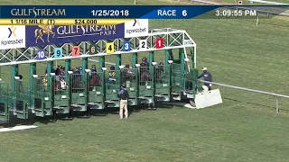 Gulfstream Park Carrera 6 - 25 de Enero 2018