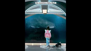 ELA ENCONTROU O TUBARÃO BABY SHARK #shorts #memes