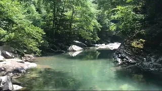 Сочинский заповедник. Каньон " Белые Скалы" ❤️ куда съездить что посмотреть в Сочи, экскурсия