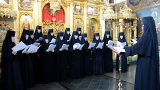 З святом Покрова Пресвятої Богородиці!