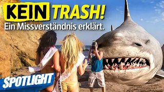 Das Ende der Trash Filme (und was ist Trash eigentlich?)