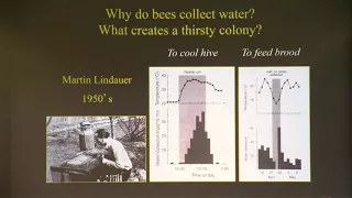 The Thirst of a Hive:  How Does a Honey Bee Colony Control its Water Intake? by Tom Seeley