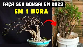 APRENDA COMO FAZER BONSAI DO INÍCIO AO FIM!