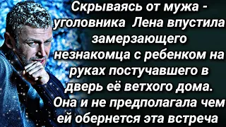 Впустив в дом замерзающего незнакомца с ребенком, Лена и не предполагала чем ей это обернется...