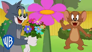 Tom & Jerry | Flower Season 🌸 | @WB Kids