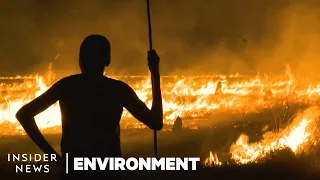 Aboriginal Tradition Could Prevent Bushfires in Australia