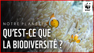 Notre Planète : qu'est-ce que la biodiversité ?