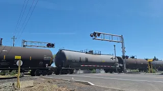 UP 9904 Leads The LRS59 At Woodbridge Rd In Acampo, CA