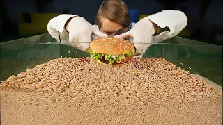 IN HOW MANY MINUTES DO maggots EAT A BURGER?