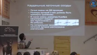 «Введение в кардиологию. Основы диагностики Часть 2» Бокарев А. Н. в ВЦ ЗООВЕТ