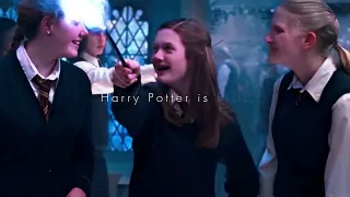 Harry Potter is Colours | Tiktok Trend