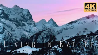 Living in Nature in 4K | High Definition Aerial Drone Video Filmed In Switzerland (2020). 60 FPS