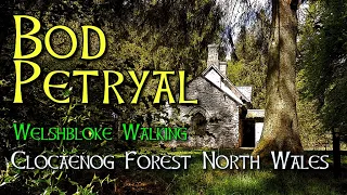Bod Petryal, Clocaenog Forest, North Wales. Welshbloke Walking