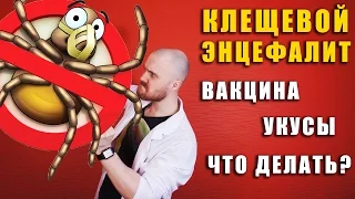 Клещевой энцефалит / что делать укусил клещ / как вытащить клеща / профилактика / вакцина / прививка