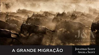 A Grande Migração