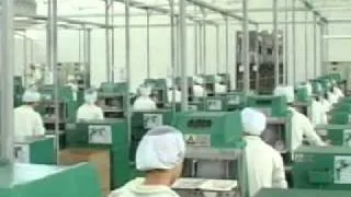 paper dinnerware factory.flv