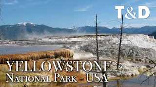 Yellowstone National Park Video Guide - Travel & Discover