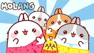 Molang 🐰 THE CRUISE 🌞 クルーズ 🦁 Cartoon For Kids ⭐ Super Toons TV アニメ