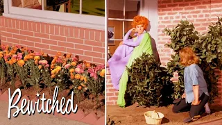 Samantha Wants To Convince Endora About Darrin | Bewitched